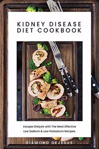 Kidney Disease Diet Cookbook