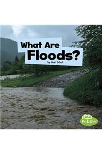 What Are Floods?