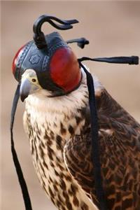 Falconry Notebook