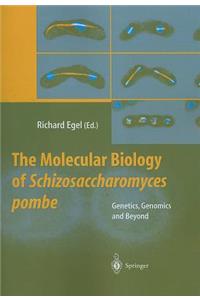 Molecular Biology of Schizosaccharomyces Pombe