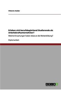 Erleben sich berufsbegleitend Studierende als Arbeitskraftunternehmer?