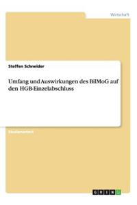 Umfang und Auswirkungen des BilMoG auf den HGB-Einzelabschluss