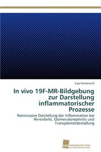 In vivo 19F-MR-Bildgebung zur Darstellung inflammatorischer Prozesse