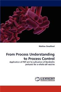 From Process Understanding to Process Control