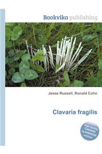 Clavaria Fragilis