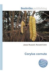 Corylus Cornuta