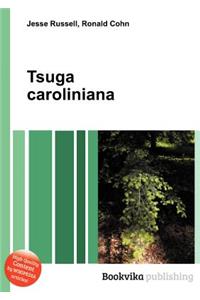 Tsuga Caroliniana