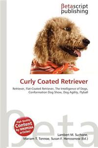 Curly Coated Retriever