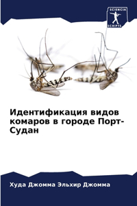 Идентификация видов комаров в городе Поl