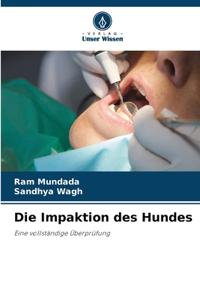 Impaktion des Hundes