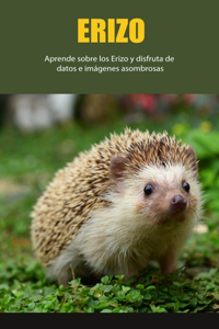 Erizo