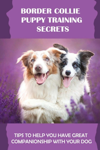 Border Collie Puppy Training Secrets