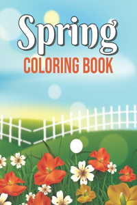 Spring Coloring Book