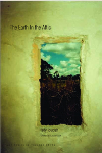 Earth in the Attic