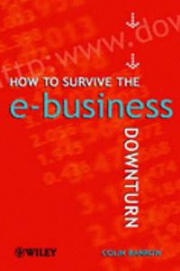 How To Survive The E-Business Downturn