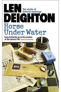 Horse Under Water