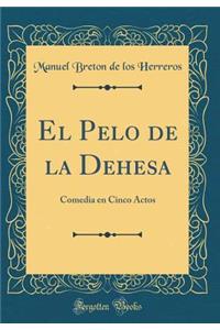 El Pelo de la Dehesa: Comedia En Cinco Actos (Classic Reprint)