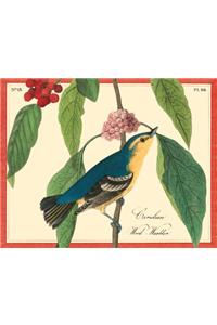 Audubon Warblers Keepsake Box