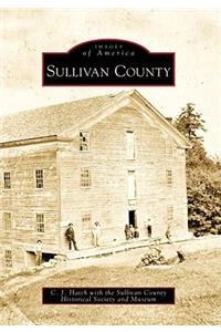 Sullivan County