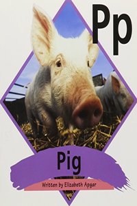 Ready Readers, Stage Abc, Book 11, Pig, 6 Pack