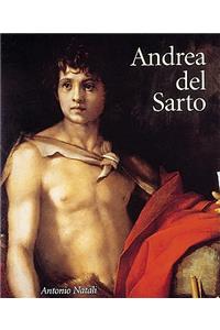 Andrea del Sarto