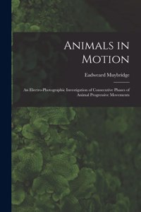Animals in Motion