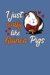 I Just Really Like Guinea Pigs