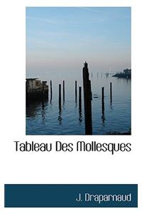 Tableau Des Mollesques