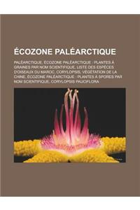 Ecozone Palearctique