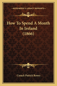 How To Spend A Month In Ireland (1866)