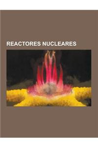 Reactores Nucleares