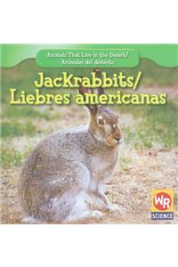 Jackrabbits / Liebres Americanas