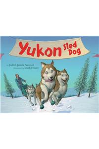 Yukon Sled Dog