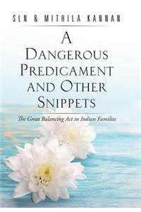 Dangerous Predicament and Other Snippets