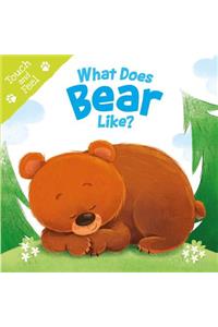 What Does Bear Like (Touch & Feel)