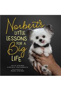 Norbert's Little Lessons for a Big Life
