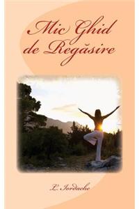 MIC Ghid de Regasire