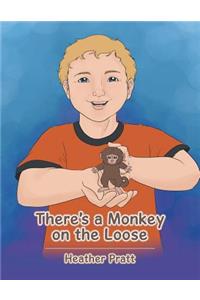 There's a Monkey on the Loose