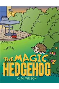 The Magic Hedgehog