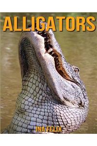 Alligators