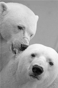 A Two Polar Bears Journal