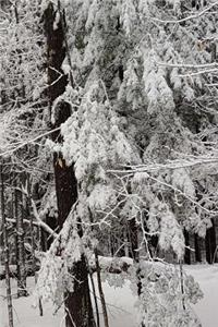 Winter Season Journal Snowy Woods