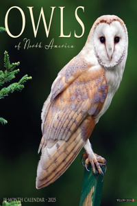 Owls 2025 12 X 12 Wall Calendar