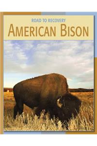 American Bison