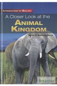 Closer Look at the Animal Kingdom