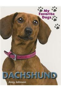 Daschund