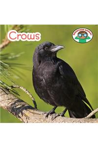 Crows