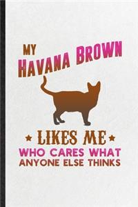 My Havana Brown Likes Me Who Cares What Anyone Else Thinks