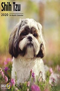 SHIH TZU WALL CALENDAR 2020