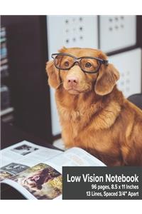 Low Vision Notebook